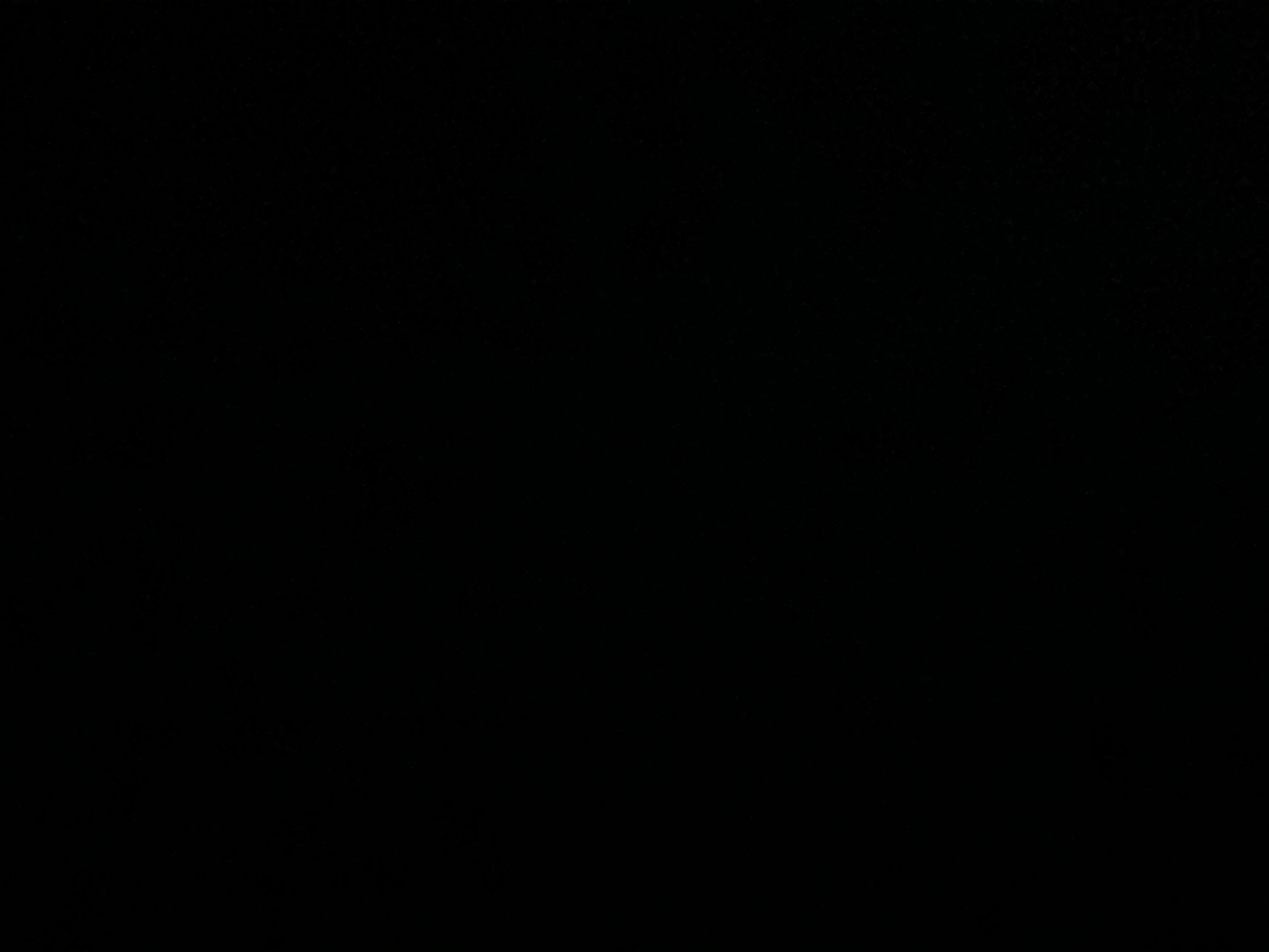 Self Image